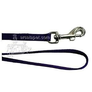  Nylon Dog Leash 3/8 inch x 6 foot Purple