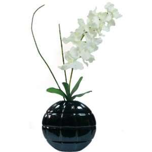   White Vanda Orchid in Container by Vintage Home Arts, Crafts & Sewing
